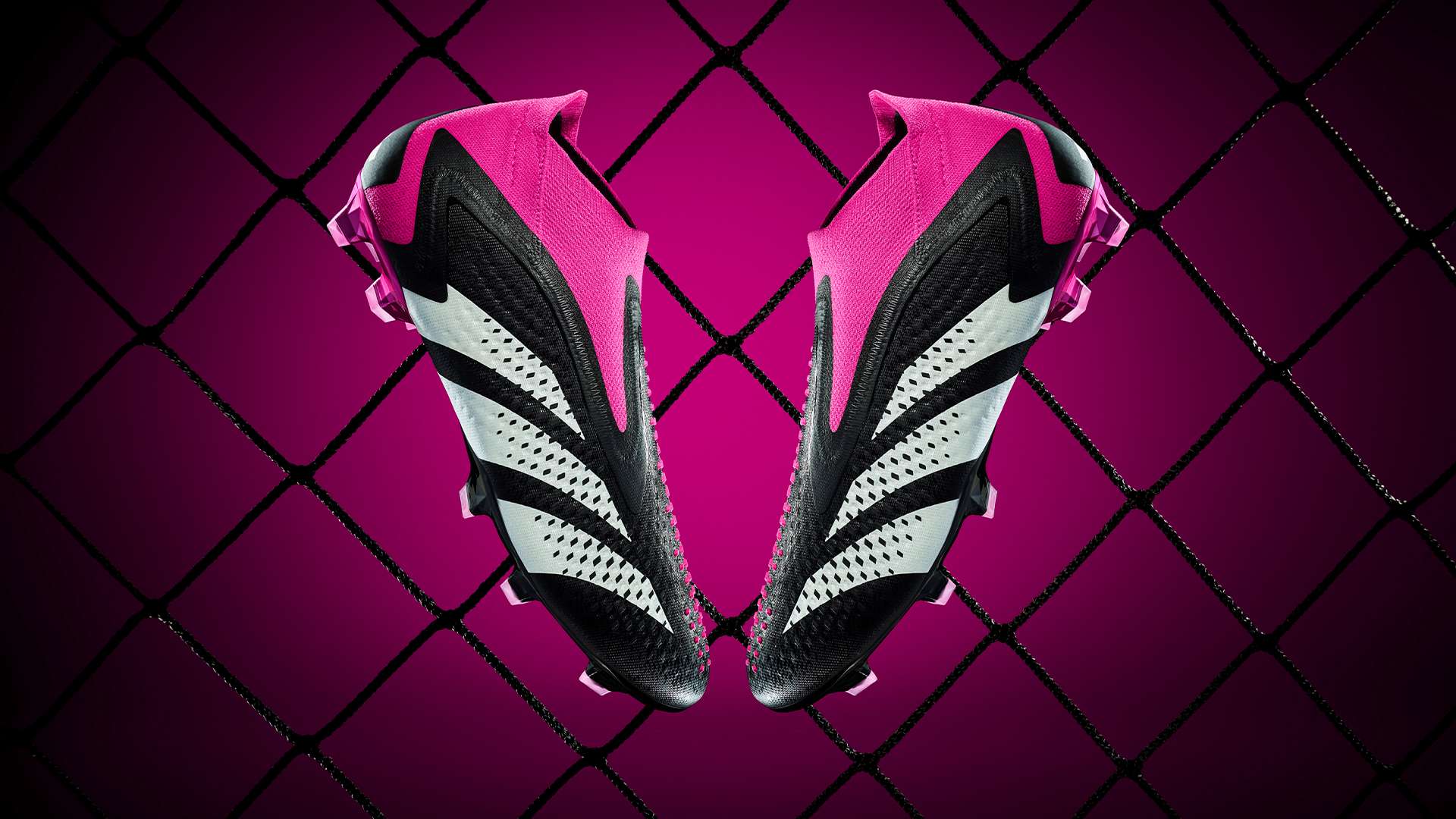 他的速度 他的速度